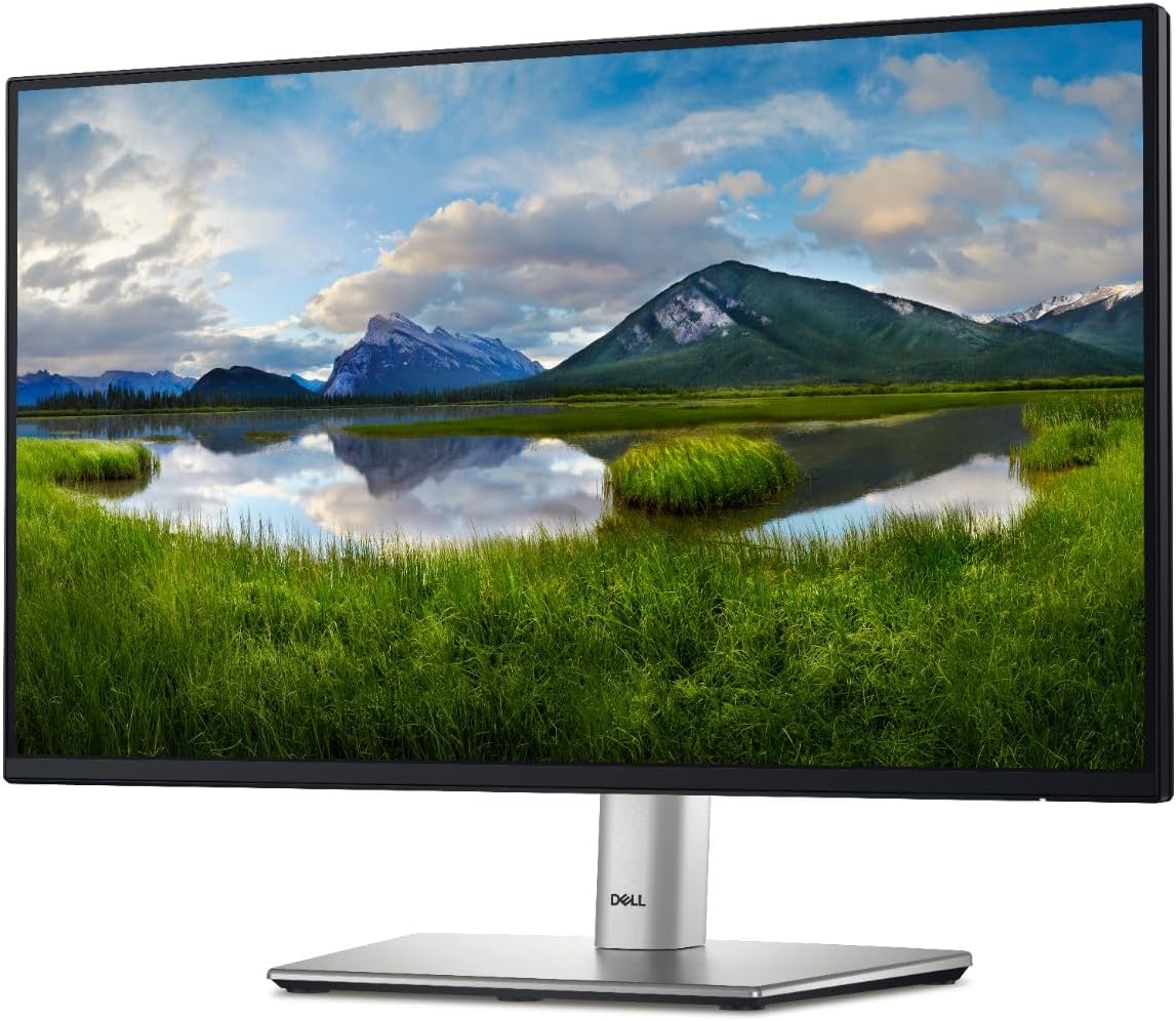 Dell Pro 24 Plus 16:10 Monitor - P2425 Dell Pro 24 Plus 16:10 Monitor - P2425